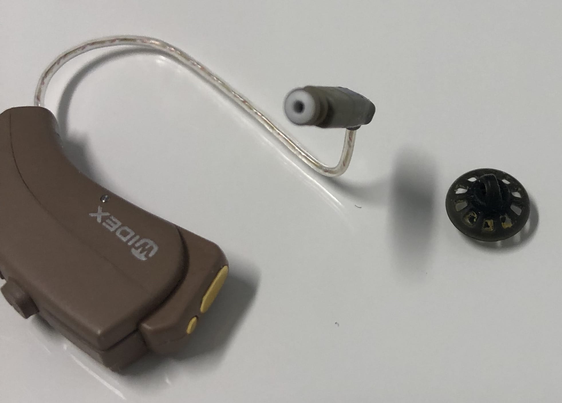 hearing aid wax guard
